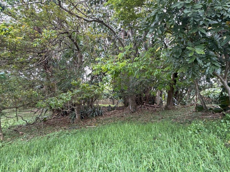 A view of the residential land featuring established trees and natural grass coverage.