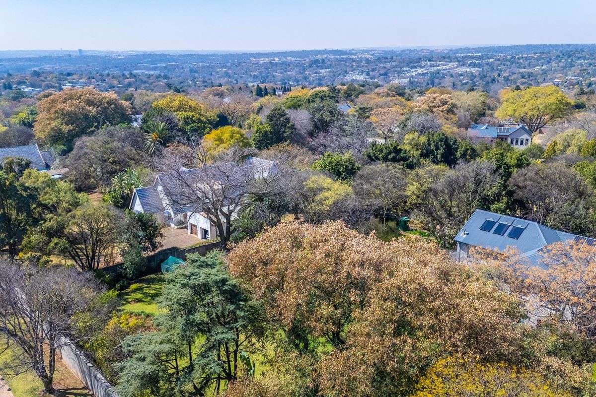 An elevated aerial view of a lush, tree-filled residential neighborhood featuring established gardens and homes with solar installations.