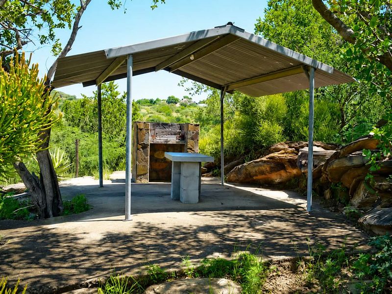 Outdoor covered patio area featuring a built-in stone braai, concrete prep surface, and metal roofing, set within a natural garden environment.