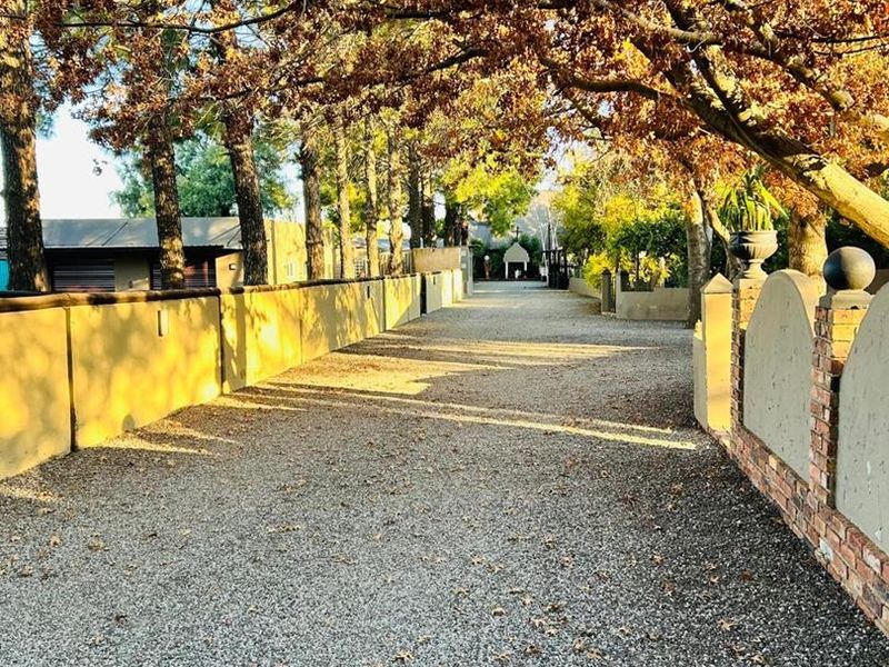 Invest in Luxury - Photo 8