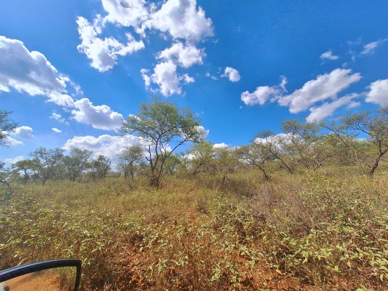 Exclusive Stand Awaits - Discover Serenity - Photo 6