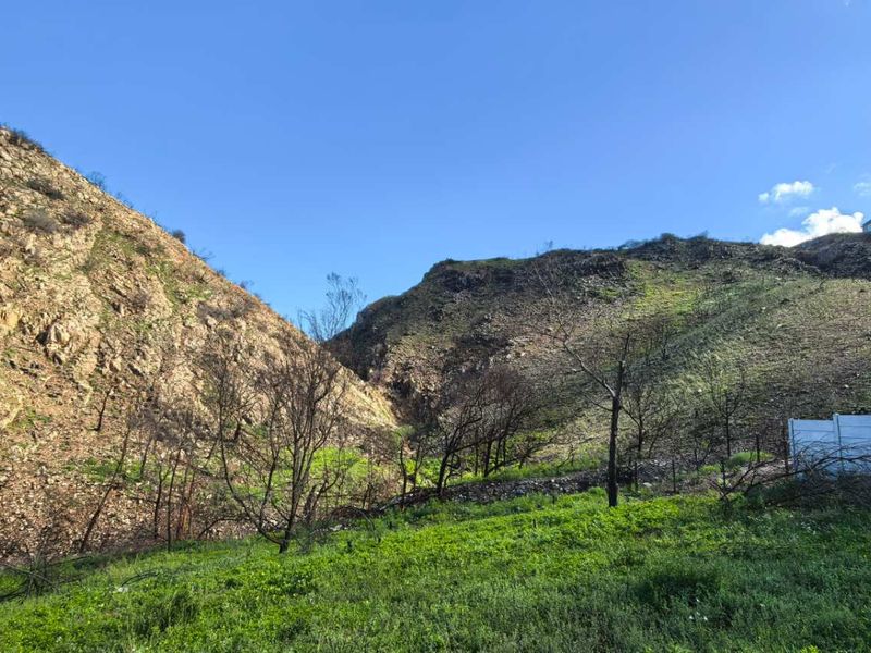 Vacant land for sale in island View - Photo 7
