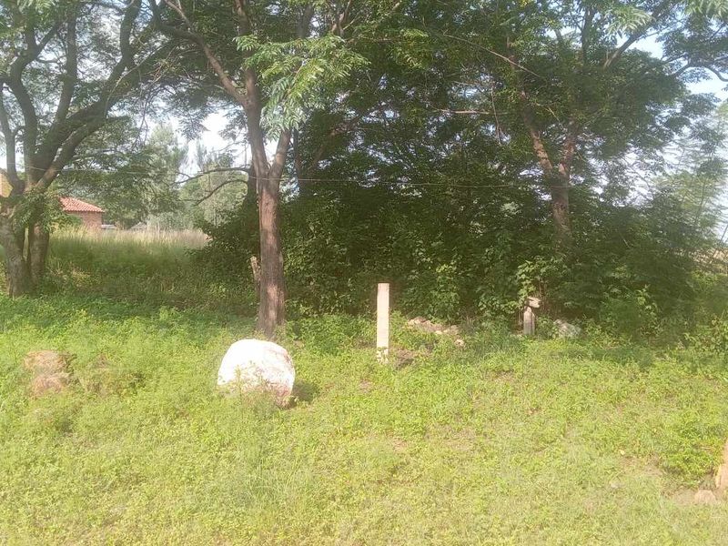 Vacant land in Pretoria North Onderstepoort - Photo 7