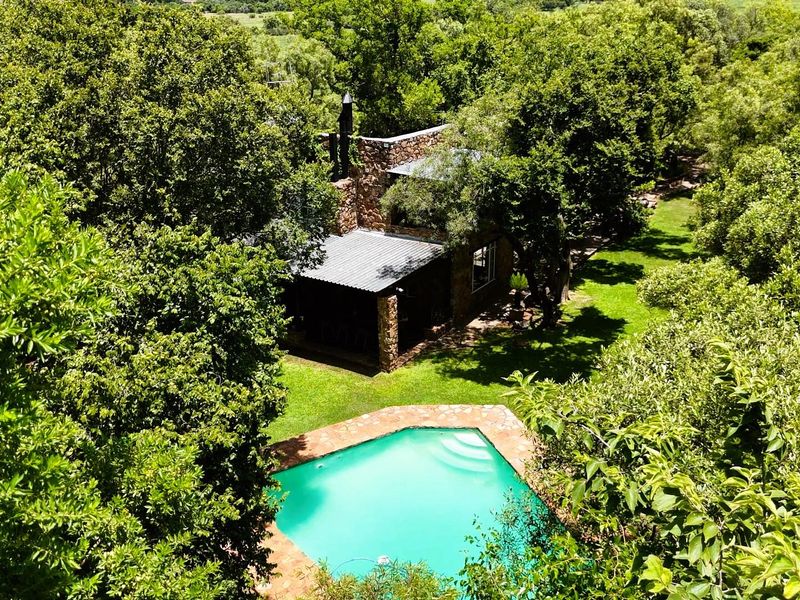 FARM FOR SALE IN LANSERIA. - Photo 4