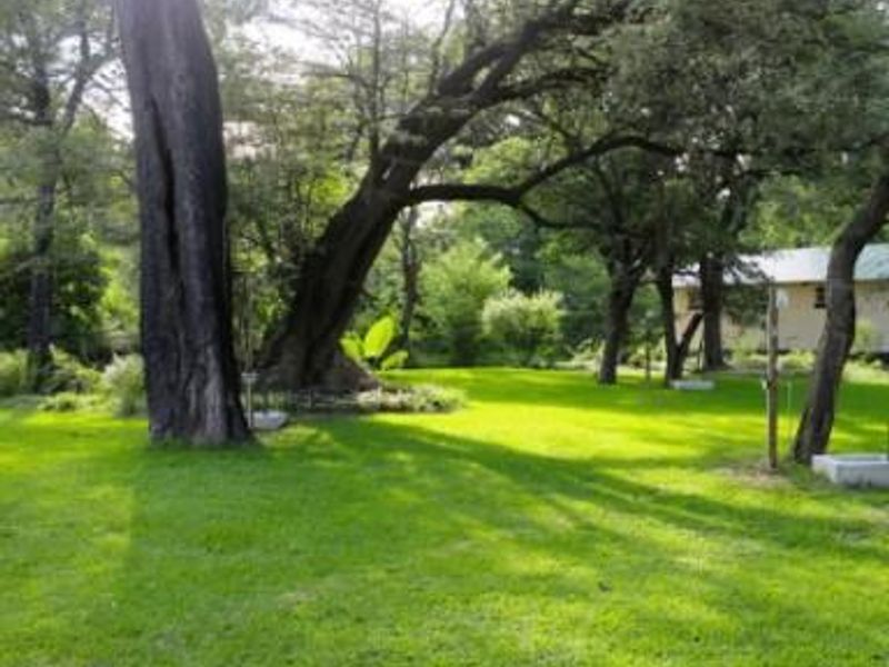 Own Paradise on the Banks of the Zambezi - Photo 9