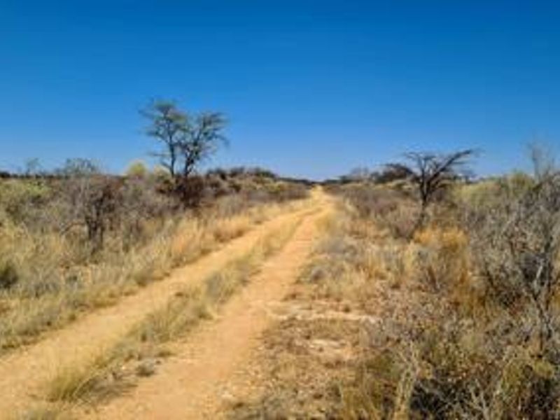 "Prime Farmland for Sale: Invest in Charcoal & Agriculture! Otavi - Photo 2