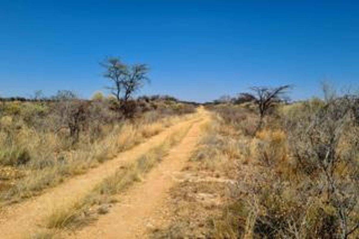 "Prime Farmland for Sale: Invest in Charcoal & Agriculture! Otavi - Photo 2