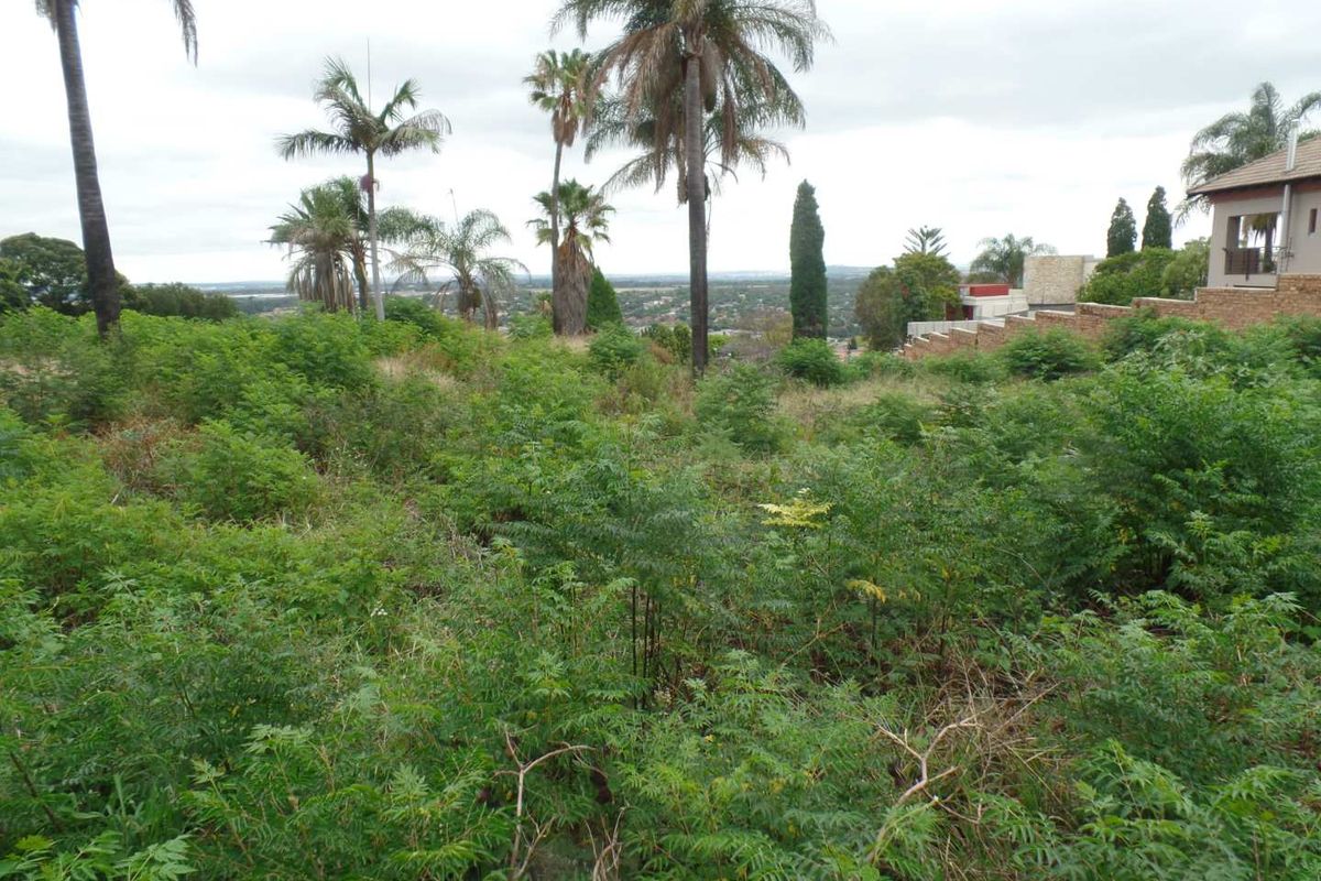 Large stand for development in Waterkloof Ridge - Photo 4