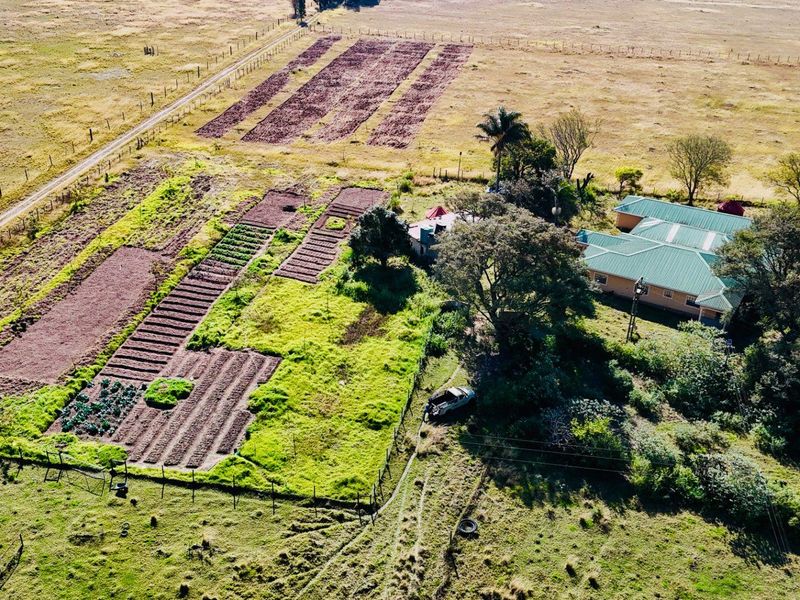 Smalholding for sale close to Vryheid area - Photo 3