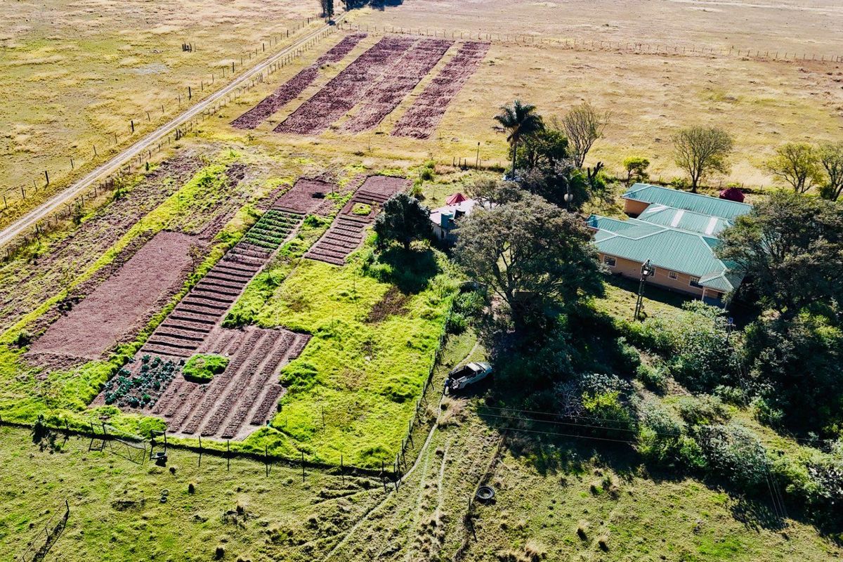 Smalholding for sale close to Vryheid area - Photo 3