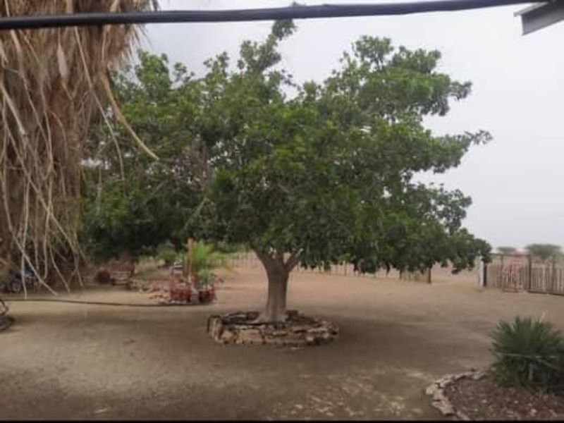 FARM FOR SALE - KEETMANSHOOP - Photo 6