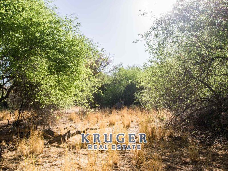 Agricultural smallholding situated approximate 20 km North-East of Omaruru on the banks of the Omaruru river - Photo 10