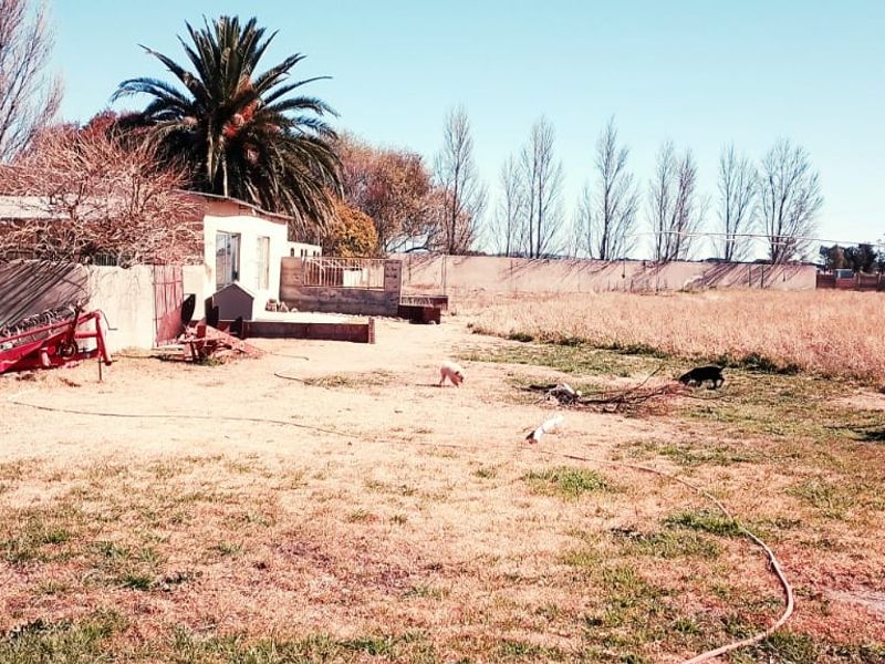 ENDLESS POTENSIAL.TWO HOUSES.TWO FLATS,4 ROOMS FOR RENT. - Photo 5