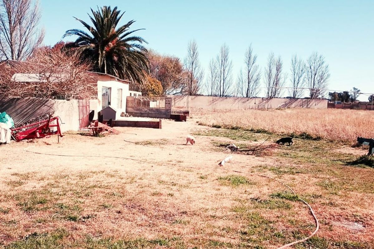 ENDLESS POTENSIAL.TWO HOUSES.TWO FLATS,4 ROOMS FOR RENT. - Photo 5