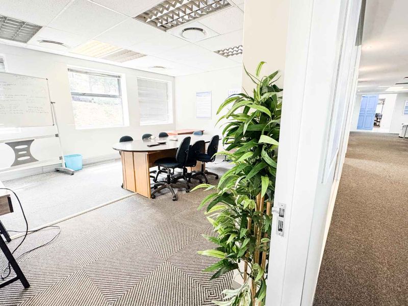A functional office space featuring carpeted flooring, suspended ceilings with recessed lighting, and large windows providing natural light.