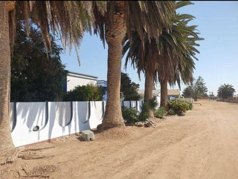 A street-level view showing a property boundary wall lined with mature palm trees along a sandy road.