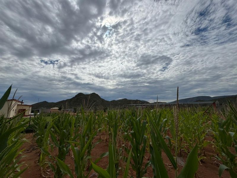 Set amongst the dramatic landscapes of the Khomas Region, the farm offers a unique blend of privacy, natural beauty and self-sufficient living. - Photo 9