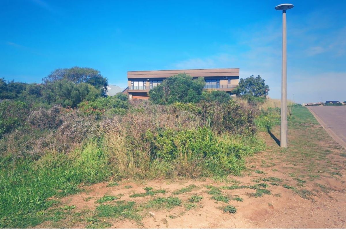 A view of a vacant residential plot situated along a paved street with an existing street light fixture.