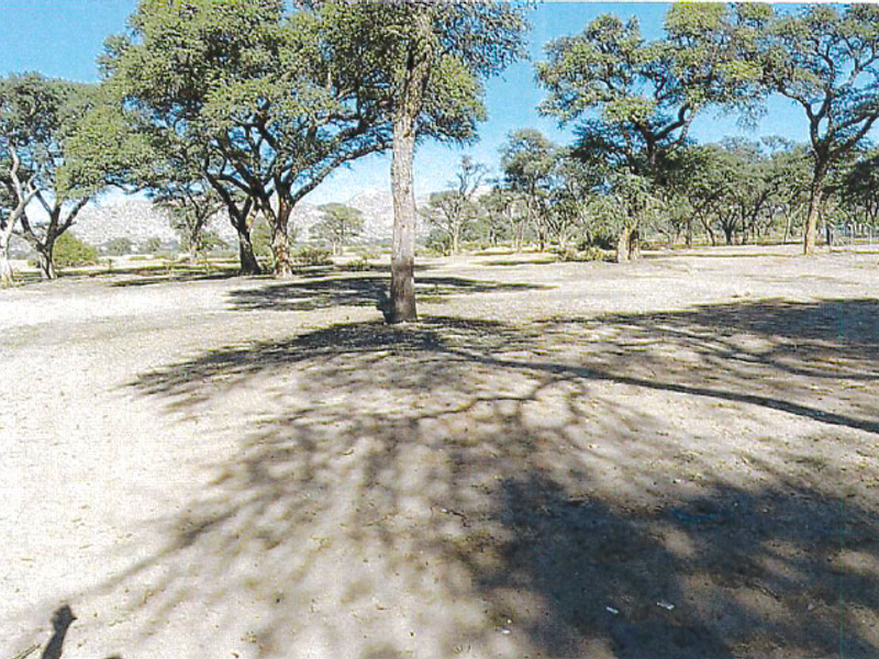 A view of the vacant agricultural land featuring mature trees and natural terrain.