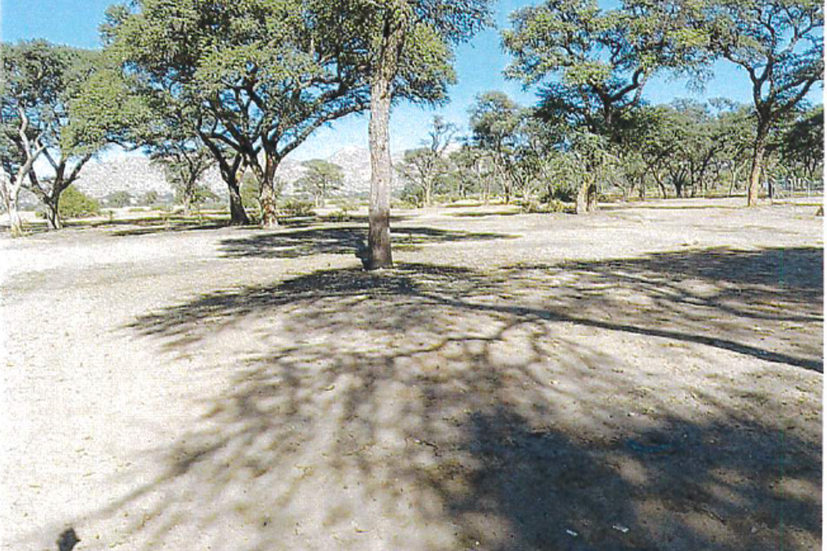 A view of the vacant agricultural land featuring mature trees and natural terrain.