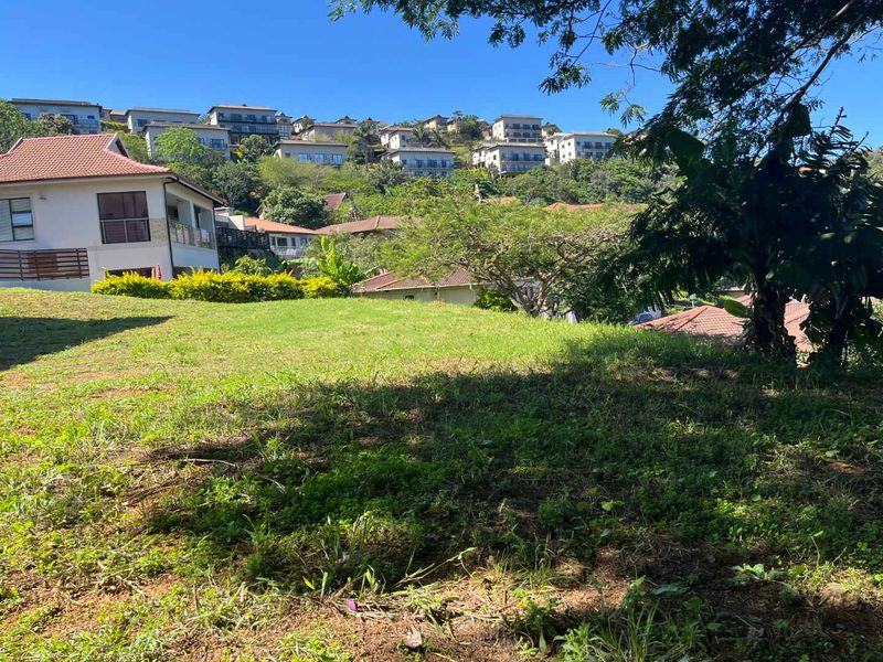 Rare Find Elevated Vacant Stand in Seaward Estate - Photo 3