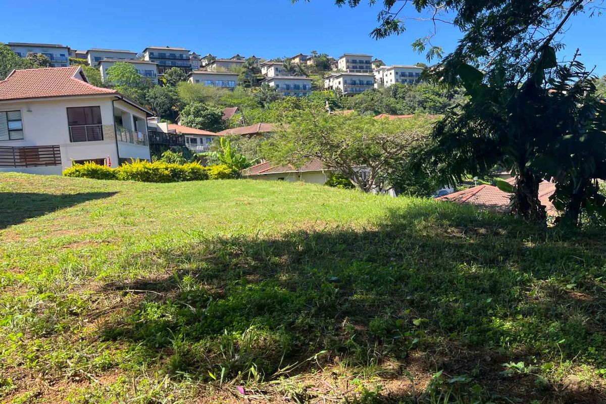 Rare Find Elevated Vacant Stand in Seaward Estate - Photo 3