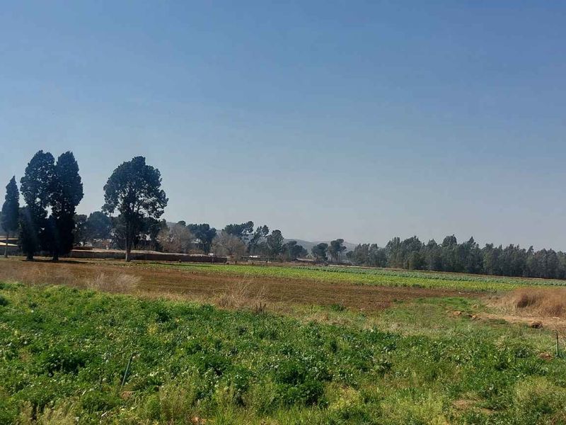 Thriving Vegetable Farm in Eikenhof for sale - Photo 10