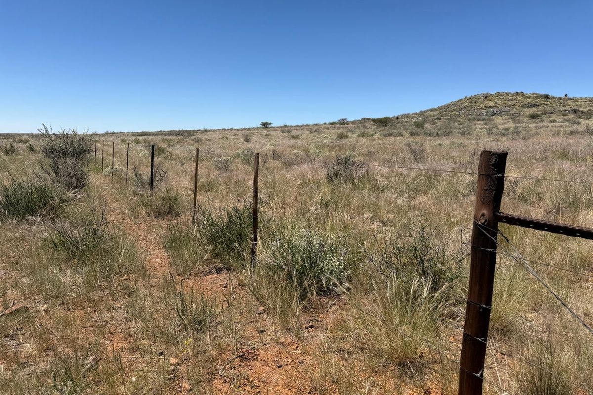 FARM FOR SALE- EXCEPTIONAL VALUE!! - Photo 4