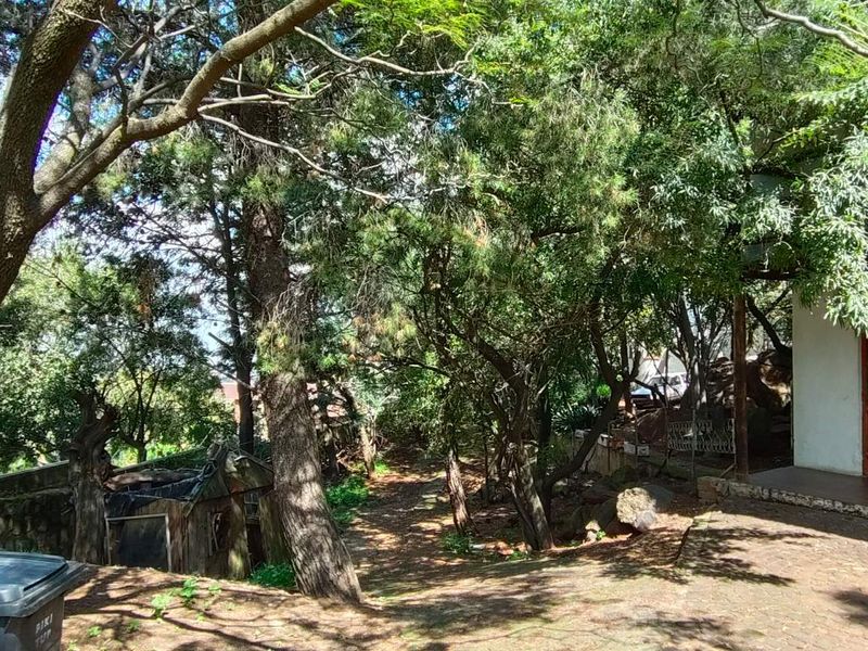 Bassonia Gem: Endless Potential on 4720sqm Stand!!! - Photo 6