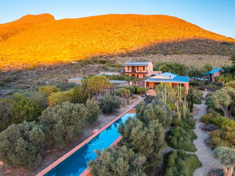 AN INVESTMENT IN PEACE, PURPOSE AND UNPARALLELED BEAUTY - ORGANIC OLIVE FARM FOR SALE - Photo 5