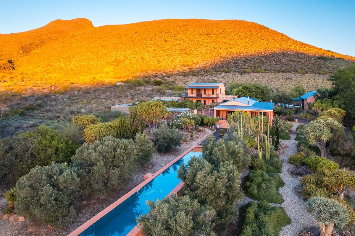 AN INVESTMENT IN PEACE, PURPOSE AND UNPARALLELED BEAUTY - ORGANIC OLIVE FARM FOR SALE - Photo 5