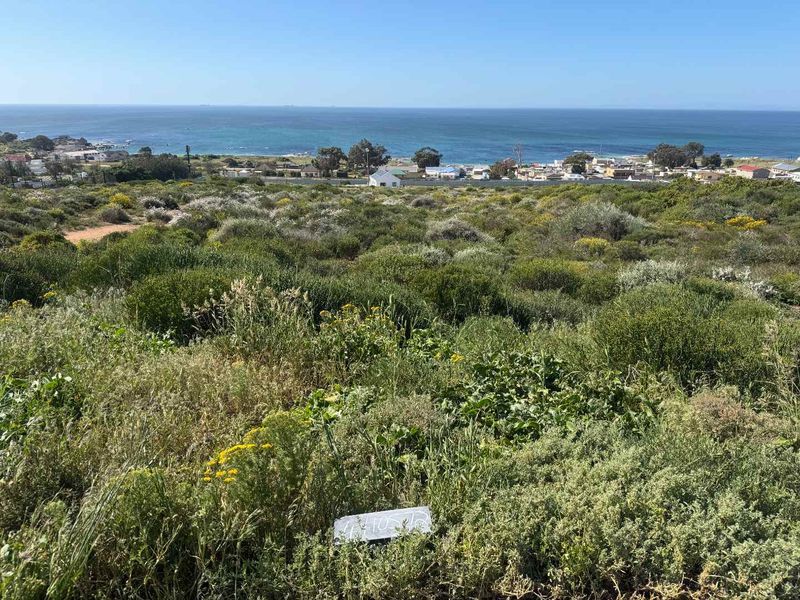 Premium Coastal Stands with Panoramic Ocean Views in St Helena Views Phase 1 - Photo 4