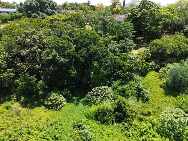 Vacant Land with Massive Potential in Crestholme! - Photo 3