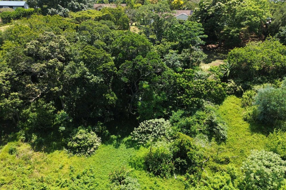 Vacant Land with Massive Potential in Crestholme! - Photo 3