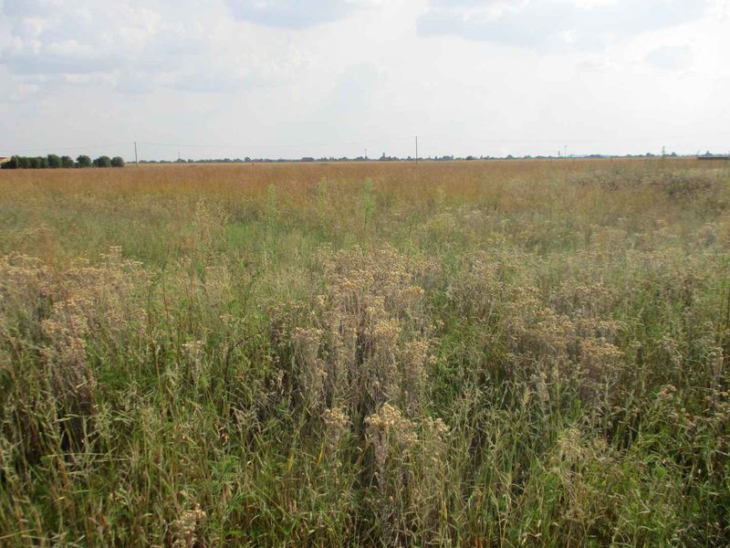 Good flat stand - Photo 2