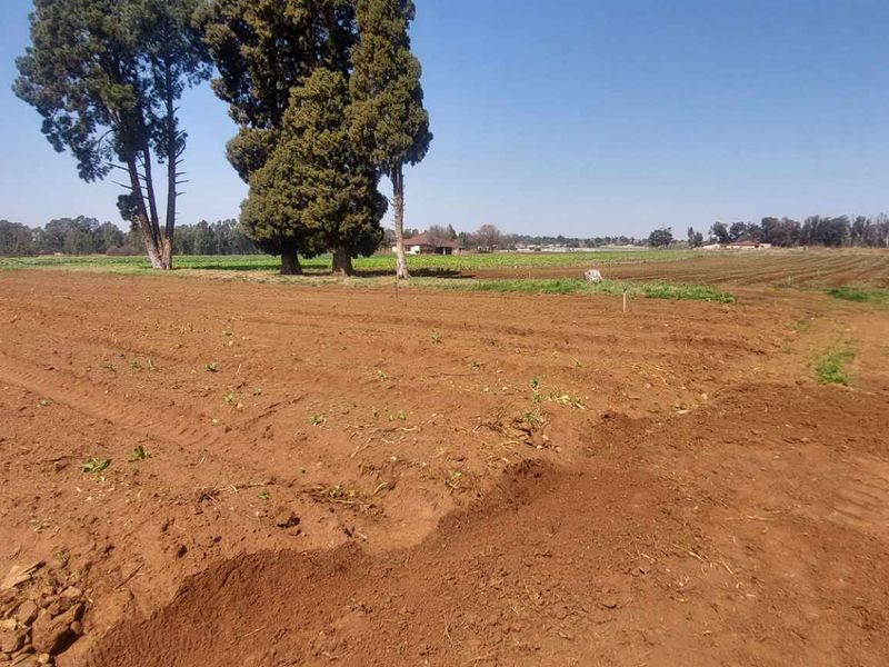 Prime 17.8 Hectare Vegetable Farm for Sale in Eikenhof Johannesburg - Photo 1