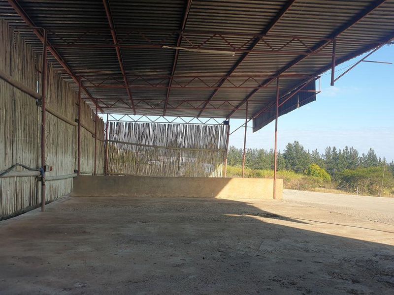 Warehouse, office and yard space for rent - Photo 2