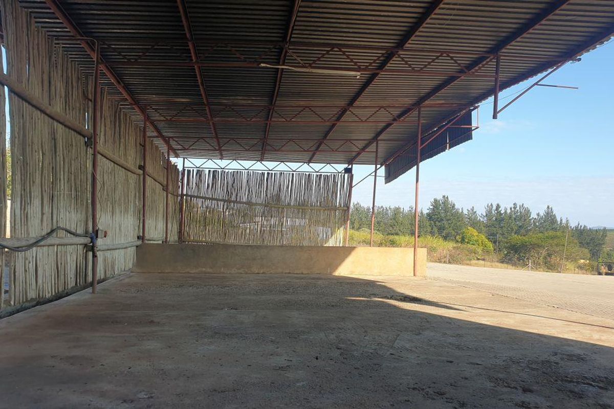 Warehouse, office and yard space for rent - Photo 2