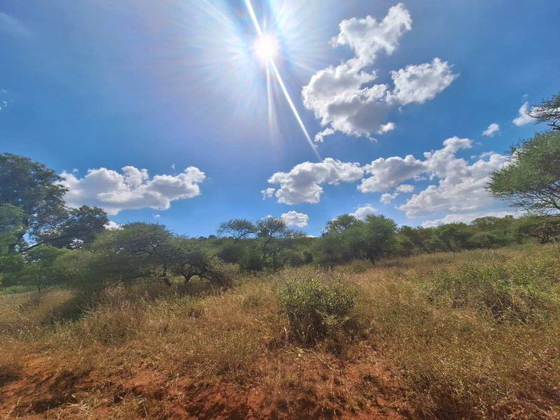 Infinite Beauty - Limited Sstands - Photo 6