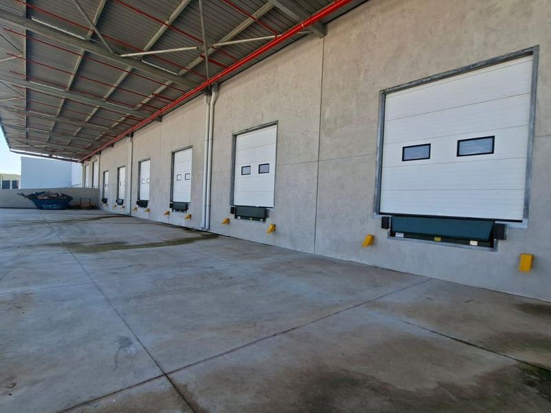 Industrial loading bay area featuring multiple sectional overhead doors, dock levelers, and a large concrete hardstand under a covered steel roof structure.