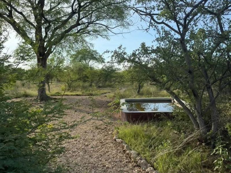 A natural farm garden setting featuring a gravel pathway with stone edging and a rustic water trough surrounded by mature trees.