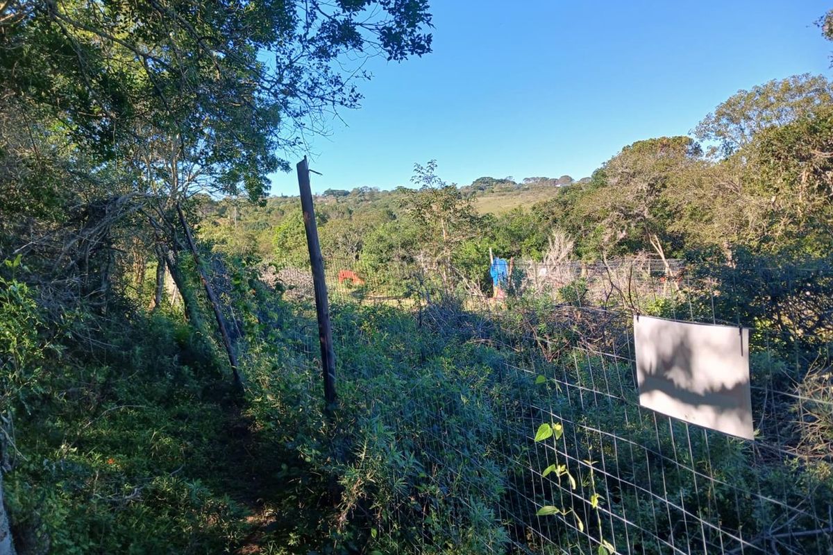 A view of a residential plot featuring overgrown vegetation and damaged wire mesh fencing.