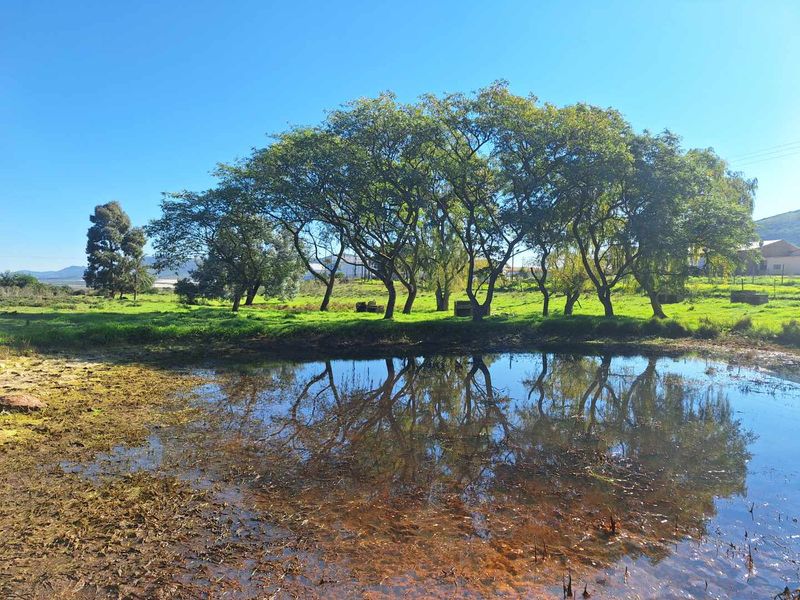 Somewhere Dreamy - Photo 5