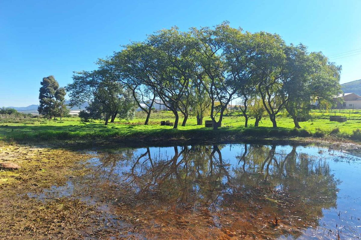 Somewhere Dreamy - Photo 5