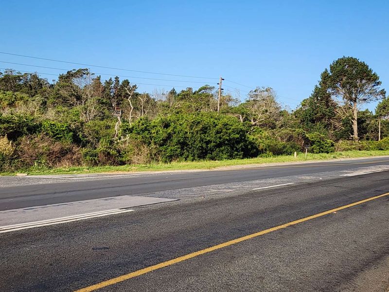 Smart Investment! Prime Land for Business or Residential Use! - Photo 6