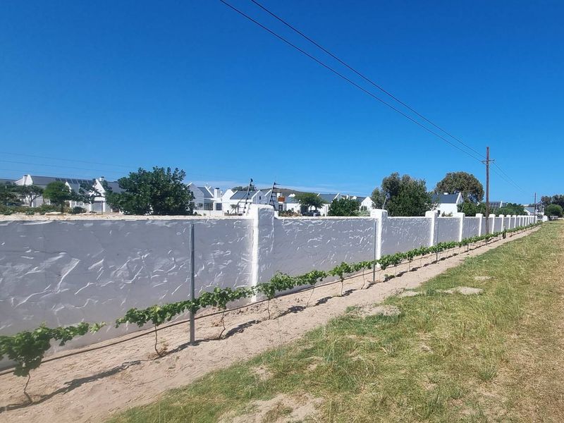 Vacant Stand for Sale in Fisherman’s Haven Estate, Yzerfontein - Photo 5