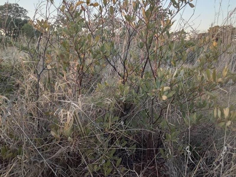 Unlock the Wild – Live the Farm Life! - Photo 4