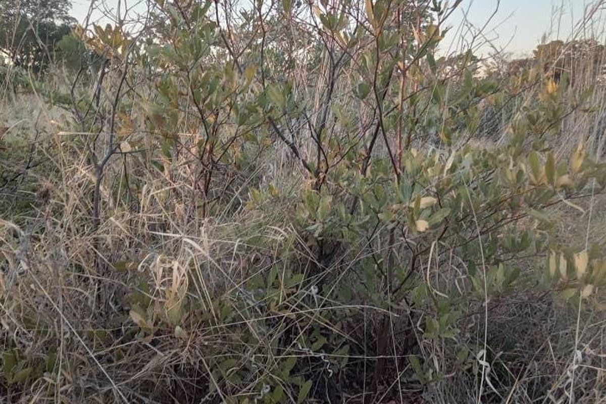 Unlock the Wild – Live the Farm Life! - Photo 4