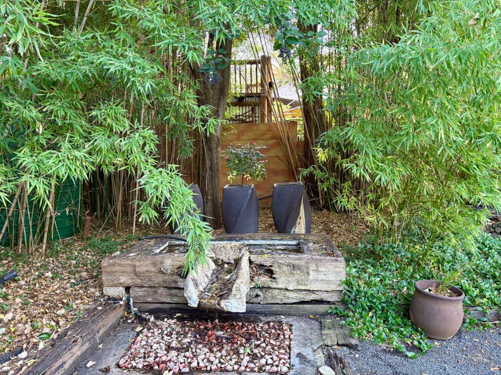 Tree filled garden with water feature.