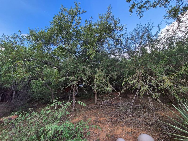 400m2 Level Stand - Photo 4